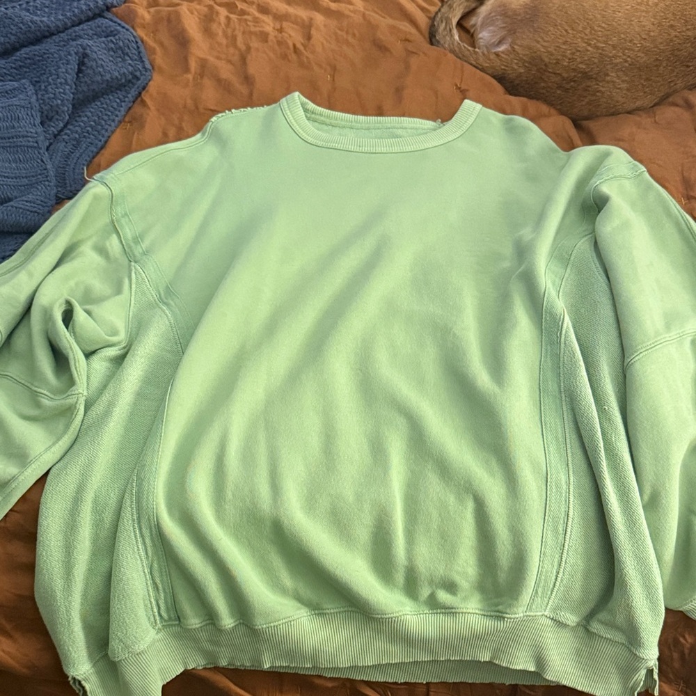 Aerie Light Green Knit Top